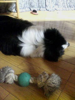 f0090009_23341698.jpg