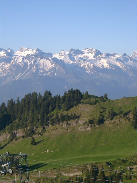 c0039813_8521942.jpg
