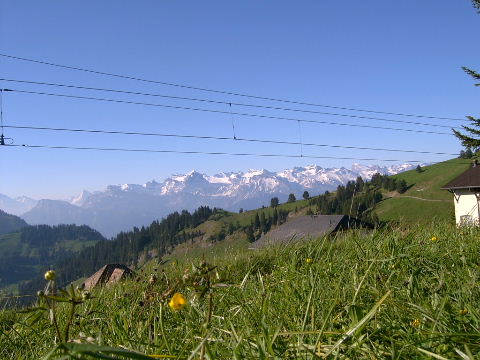 c0039813_8533433.jpg