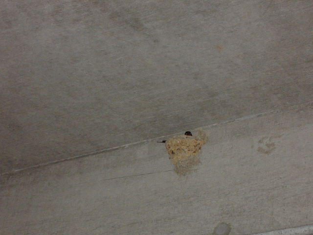 c0056014_1622859.jpg
