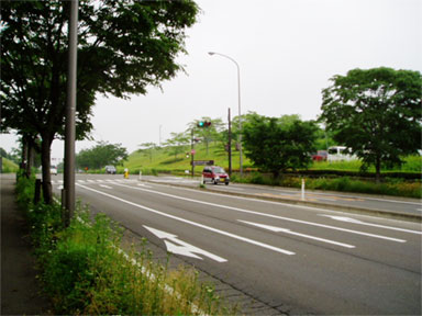 f0107517_1128894.jpg