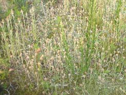 e0083820_2257533.jpg