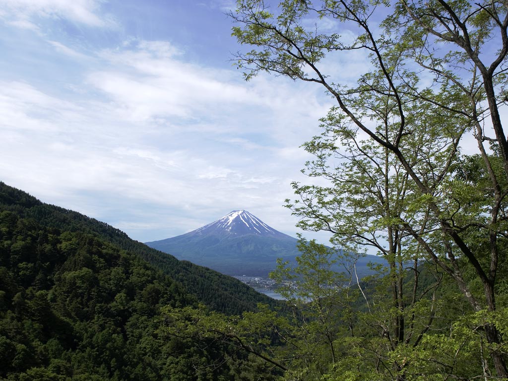 f0035323_8334220.jpg