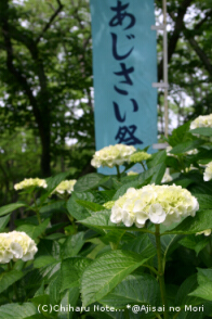 c0046340_181211.jpg