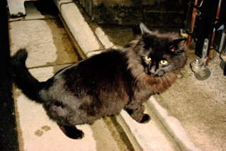 e0058443_0475216.jpg