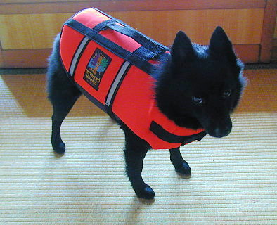 a0009750_1628599.jpg