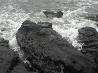 a0053558_0575156.jpg