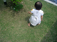 c0051759_1826252.jpg