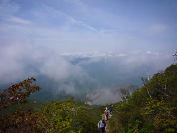 a0001561_13138.jpg