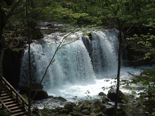 c0048667_1811172.jpg