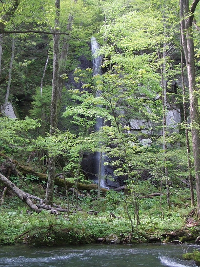 c0048667_18491959.jpg