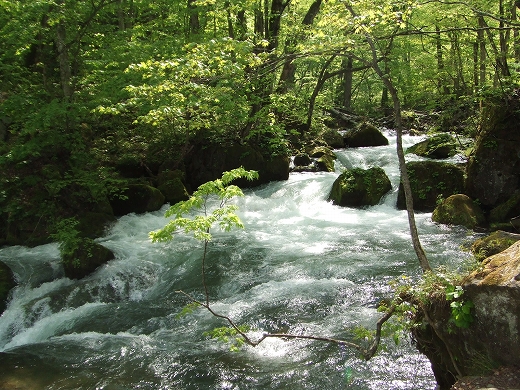 c0048667_1932368.jpg