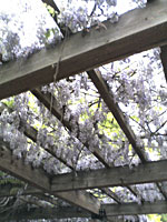 a0050669_2210959.jpg