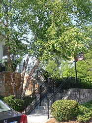 e0015270_2482522.jpg