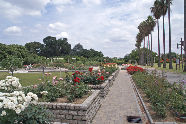 e0002371_16562449.jpg
