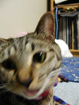 d0002472_2223556.jpg