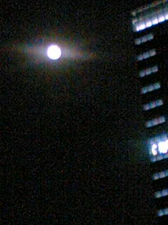 f0100480_826354.jpg