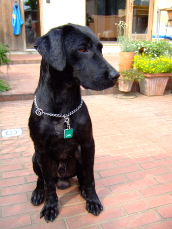 f0001698_3574829.jpg
