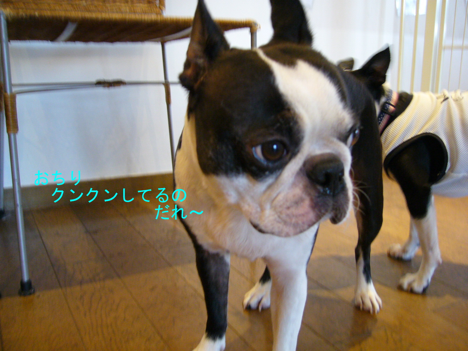 d0070702_0422896.jpg