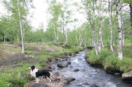 f0034602_217299.jpg