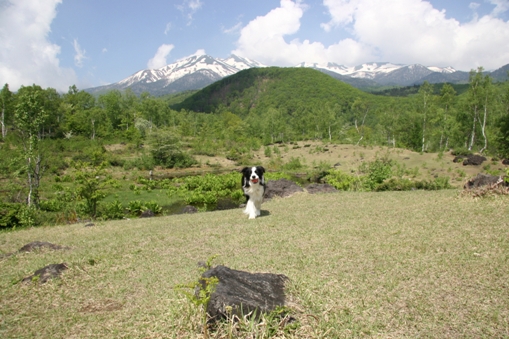 f0034602_2189100.jpg