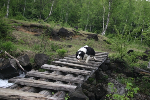 f0034602_219979.jpg