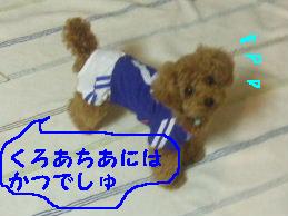 a0007906_8384830.jpg