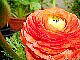 d0050007_22165998.jpg