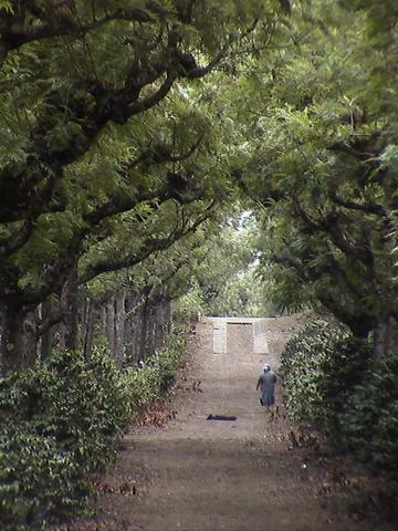e0055023_4444795.jpg