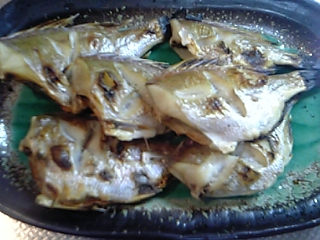 f0083726_15544978.jpg