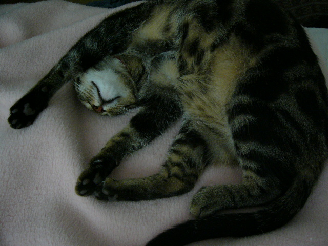 f0002938_20532838.jpg