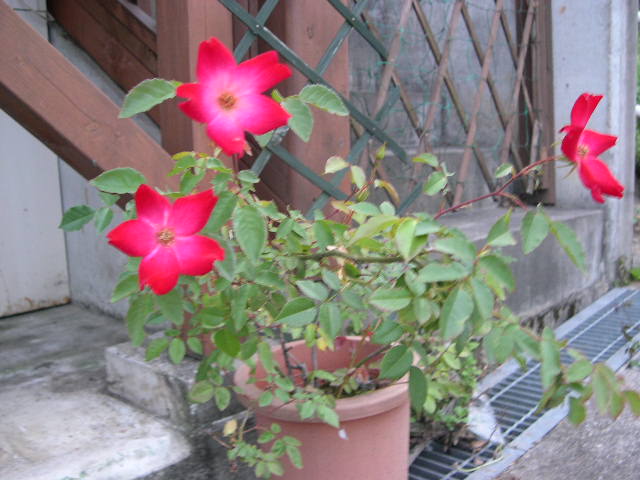 b0102639_224144.jpg