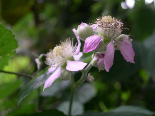 b0102639_2254193.jpg