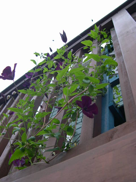 b0102639_226387.jpg