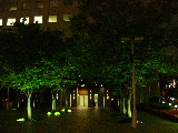 f0094045_58269.jpg