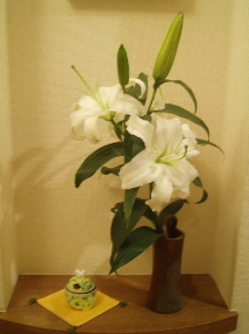 f0084747_024738.jpg