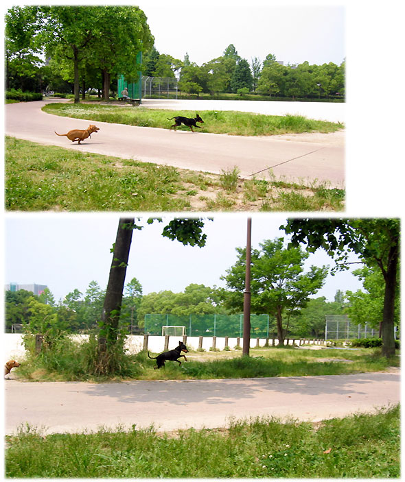 c0067449_11345855.jpg