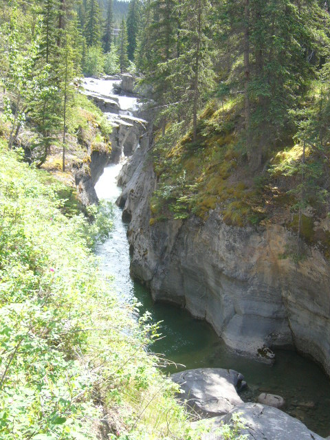 b0058150_145336.jpg