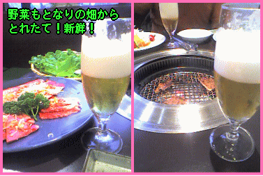 c0025852_19393038.gif