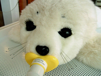 e0080452_1252166.jpg