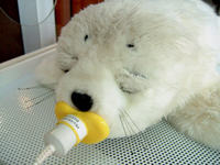e0080452_1253387.jpg