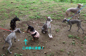 c0012571_9222144.gif