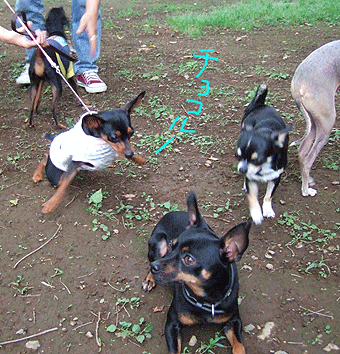 c0012571_9225073.gif