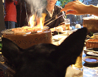 c0012571_9231786.gif