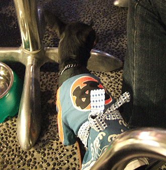 c0012571_923431.gif