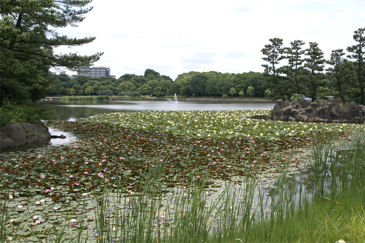 e0002371_21401083.jpg