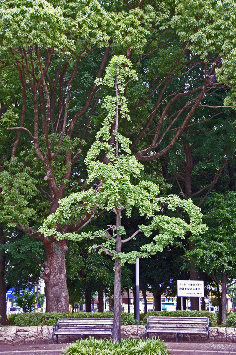 e0002371_21575145.jpg