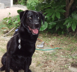 f0045872_0364990.jpg