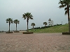 f0015381_526379.jpg