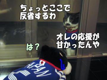 b0041182_013628.jpg